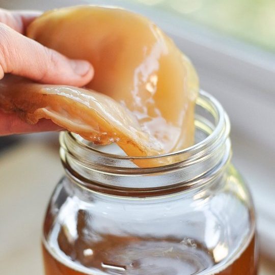 How to make Kombucha Leather