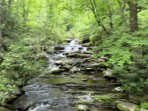 a gorgeous stream